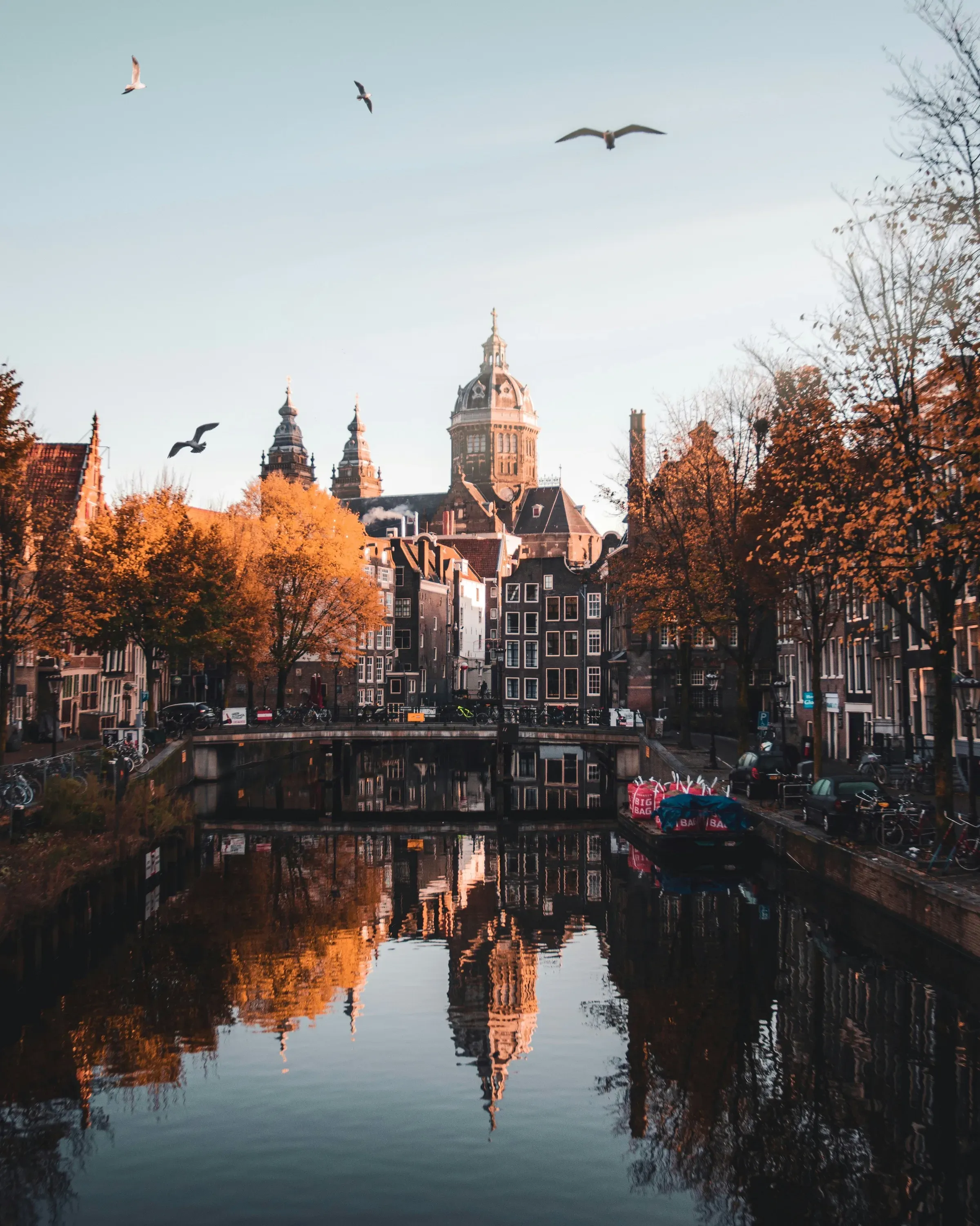 The dome of the Basilica of Saint Nicholas reflected in an Amsterdam canal on an autumn morning, with gulls overhead