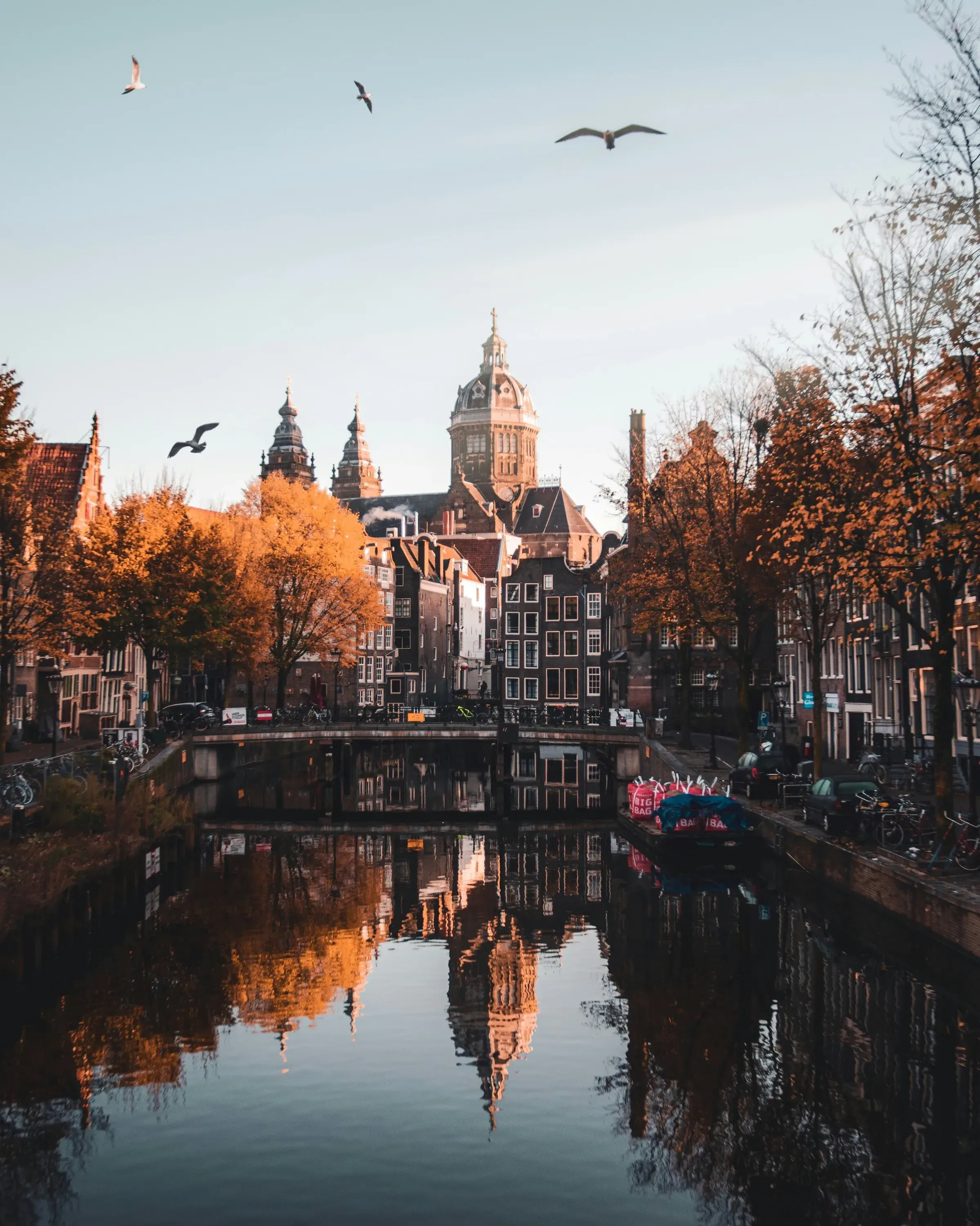 The dome of the Basilica of Saint Nicholas reflected in an Amsterdam canal on an autumn morning, with gulls overhead