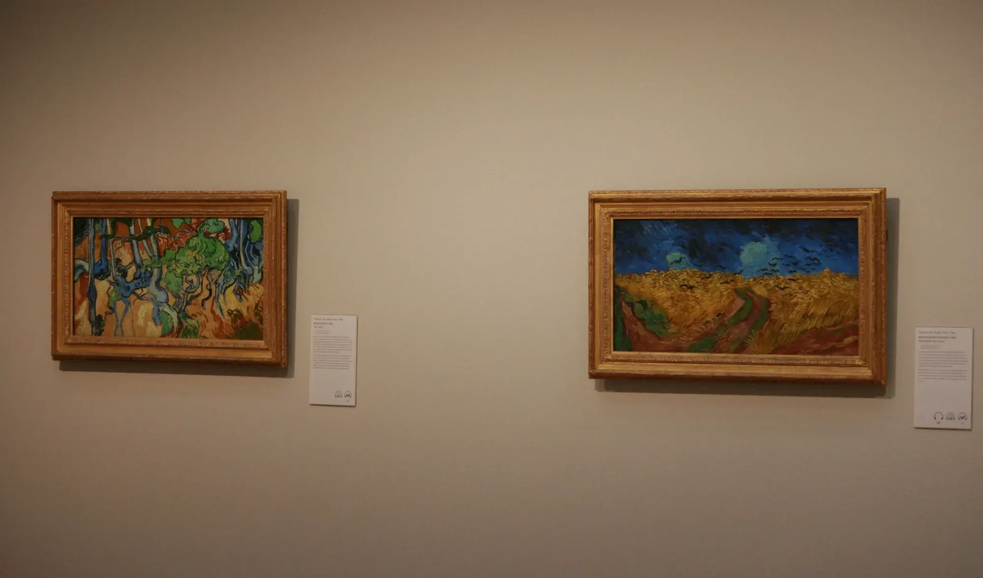 Van Gogh's Tree Roots and Wheatfield with Crows, both painted in Auvers in 1890, on a gallery wall in the Van Gogh Museum