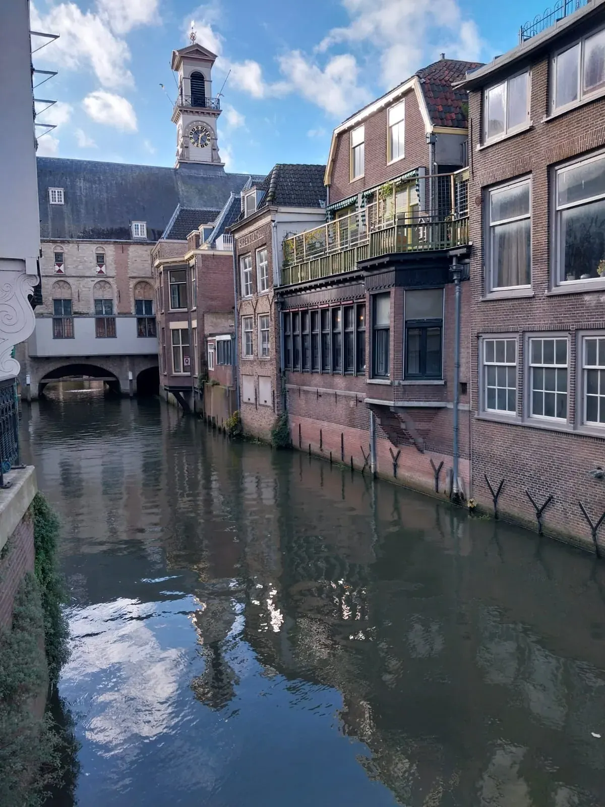 Canal houses along the Voorstraathaven in Dordrecht, with the stadhuis tower behind