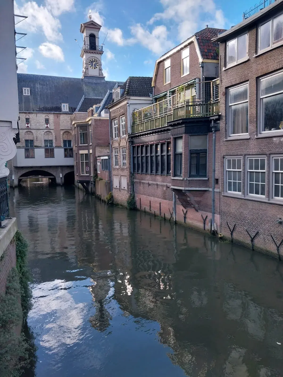 Canal houses along the Voorstraathaven in Dordrecht, with the stadhuis tower behind