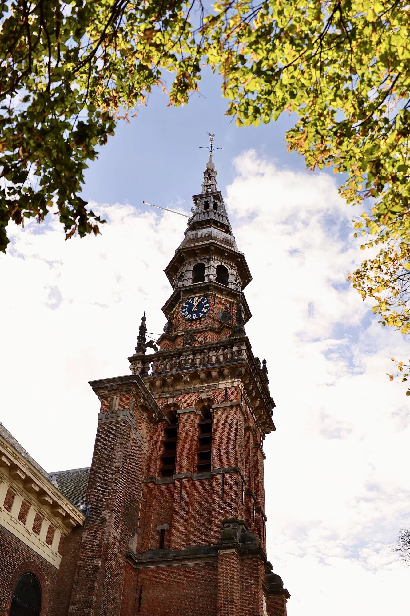 The bell tower of the Nieuwe Kerk in Haarlem framed by autumn leaves