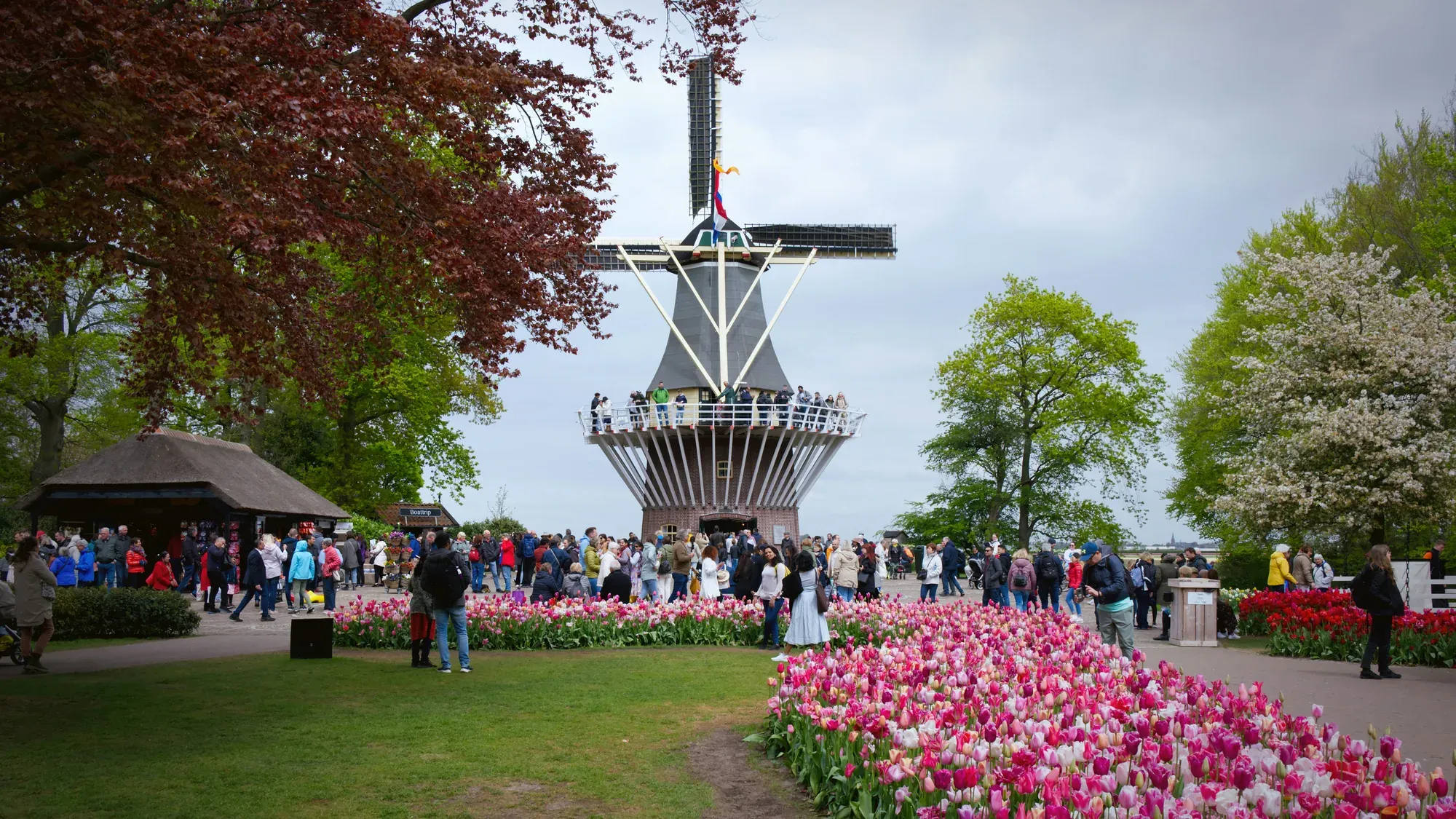 Visitors on the windmill viewing platform above the tulip beds at Keukenhof