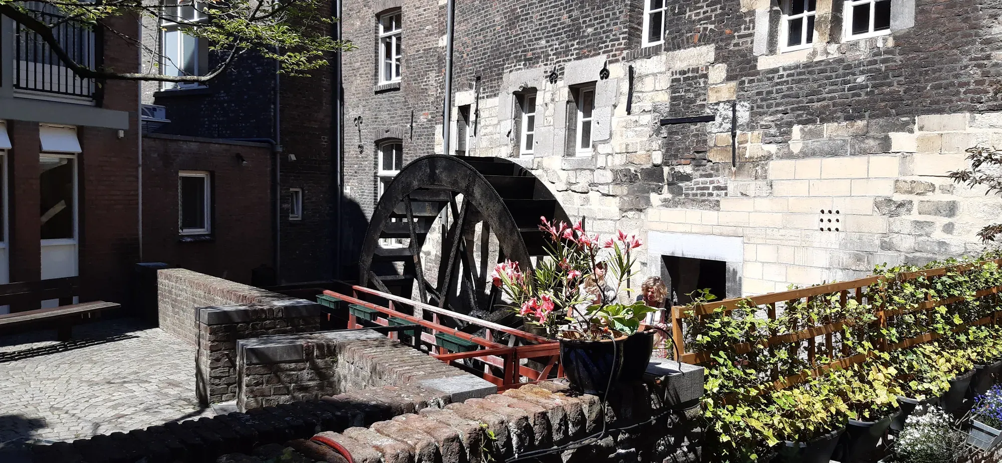 The Bisschopsmolen watermill wheel on the Jeker