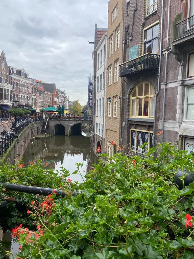 Red geraniums on a bridge over the Oudegracht canal, Utrecht