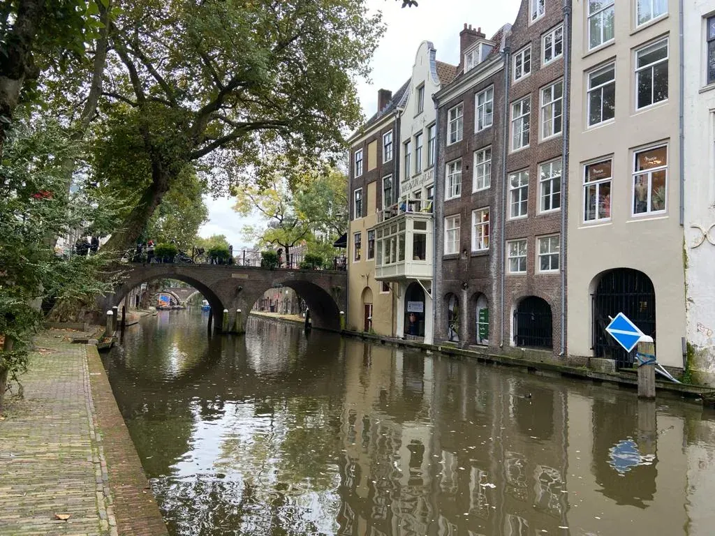 An arched bridge over the Oudegracht beside a large plane tree, Utrecht