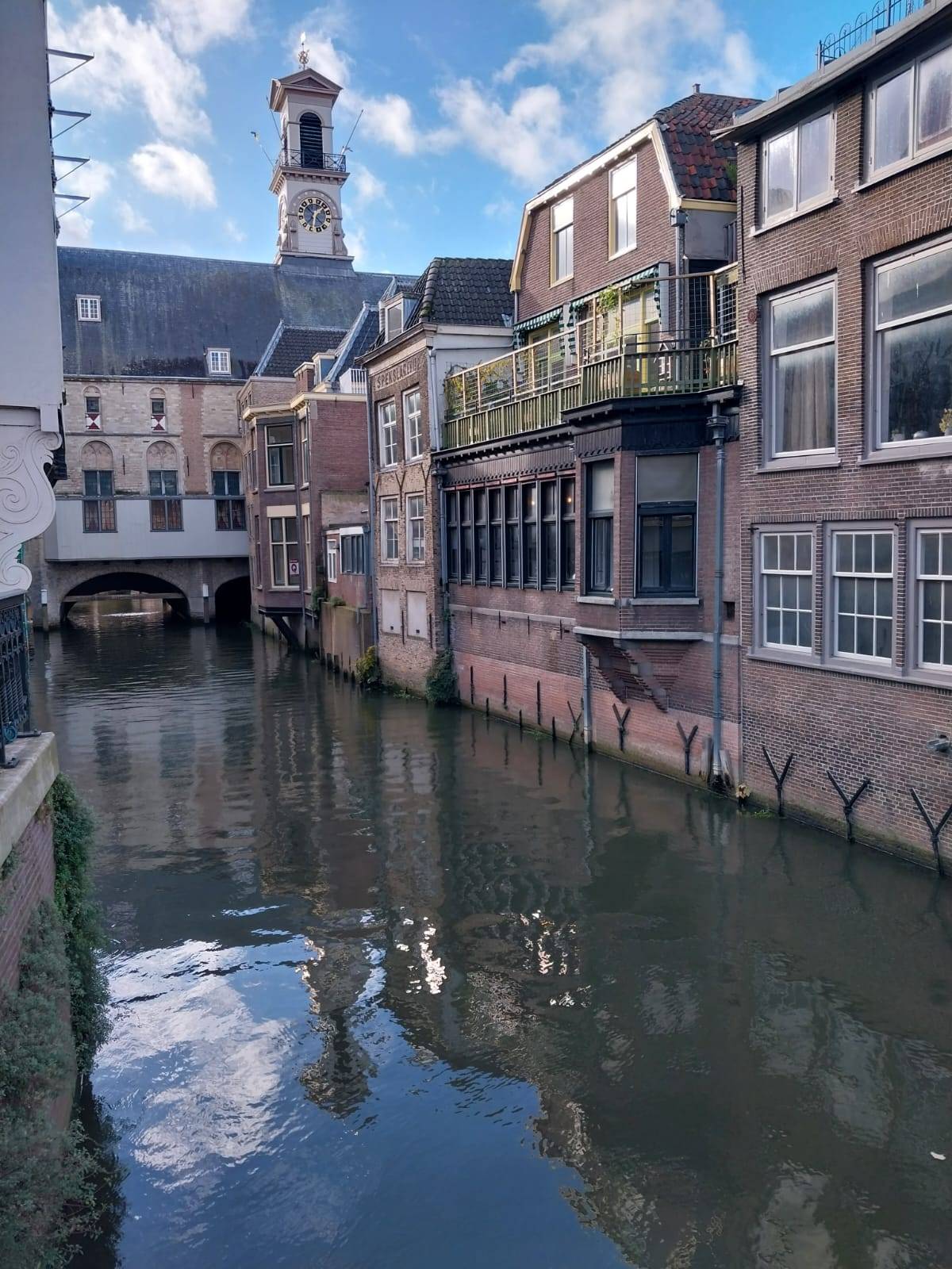 Dordrecht as seen during a private walking tour